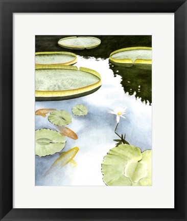 Framed Koi Reflection I Print