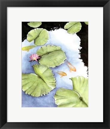 Framed Koi Reflection II Print