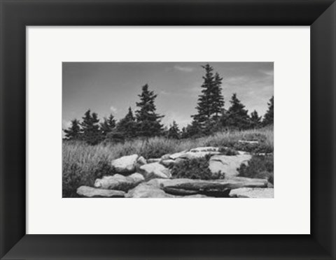 Framed Rocky Green Print