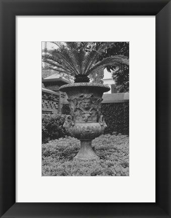 Framed Garden Urn Print