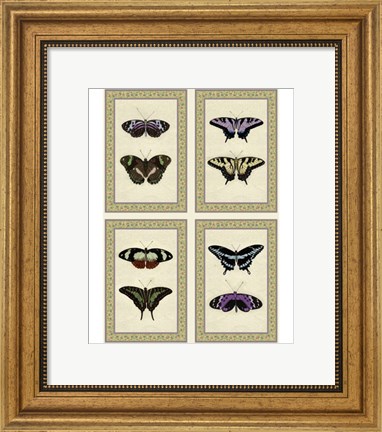 Framed Miniature Butterflies Print