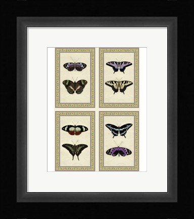 Framed Miniature Butterflies Print