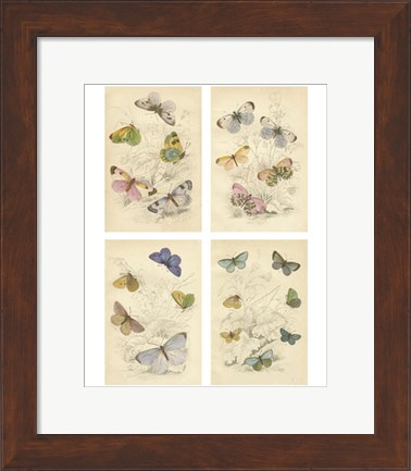 Framed Jardini Butterflies Print