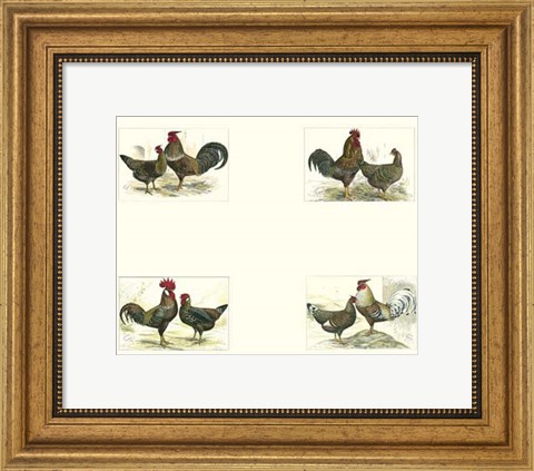 Framed Miniature Roosters Print