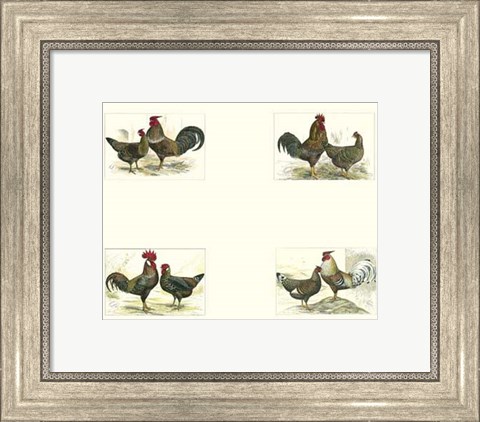 Framed Miniature Roosters Print