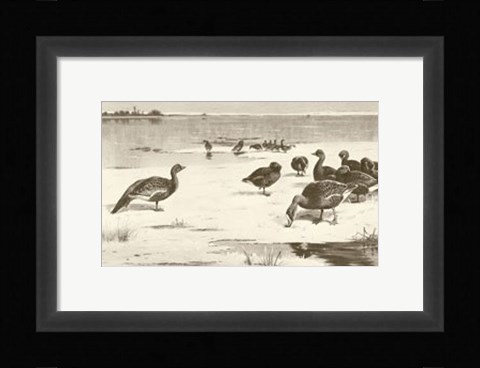 Framed Geese Print