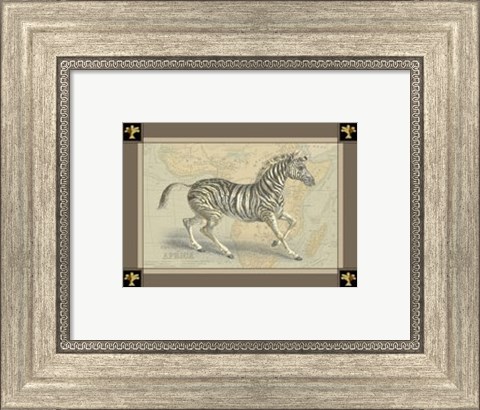 Framed Zebra with Border II Print