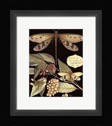 Framed Whimsical Dragonfly on Black I Print