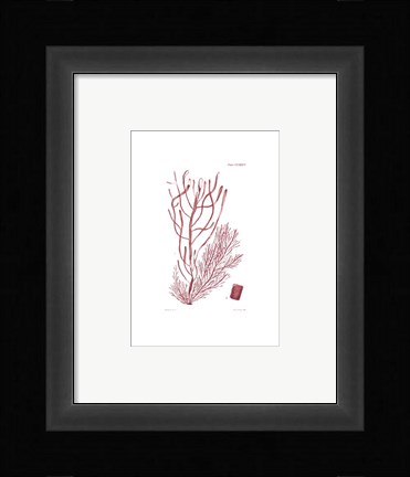 Framed Shades of Coral III Print