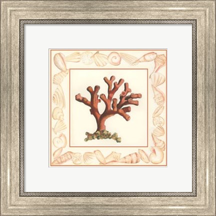 Framed Coral with Shell Border I Print