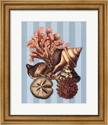 Framed Shell and Coral on Aqua I Print