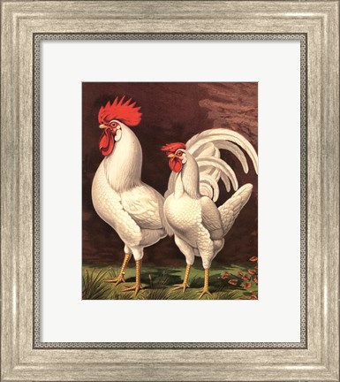 Framed Cassell&#39;s Roosters VI Print