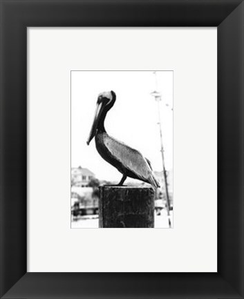 Framed Pelican Perch Print