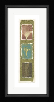 Framed Feather Fossils I on FAP Print