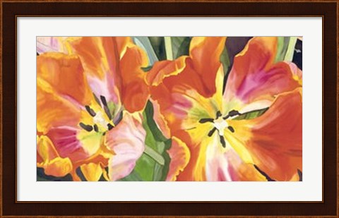 Framed Two Parrot Tulips Print