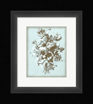 Framed Roses on Blue Print