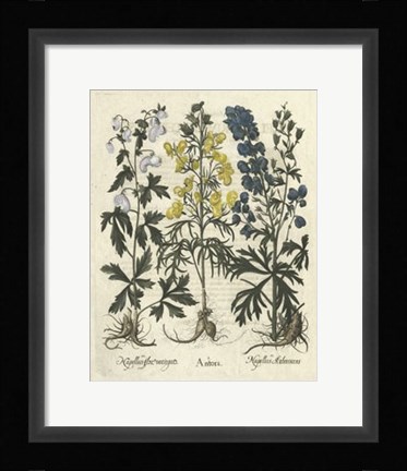 Framed Floral I Print