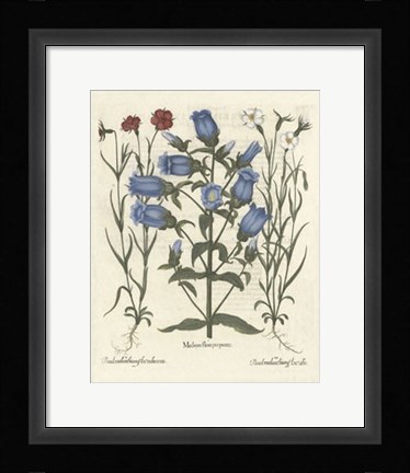 Framed Floral IV Print