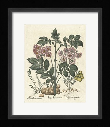 Framed Floral V Print