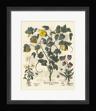 Framed Floral VI Print