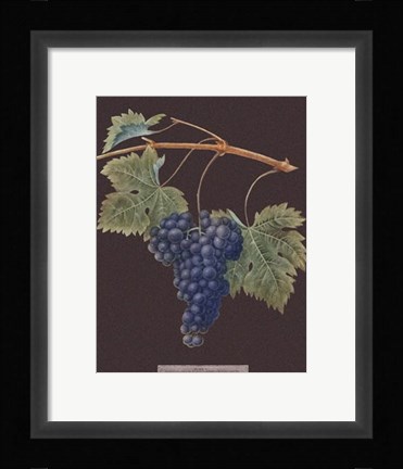 Framed Purple Grapes Print