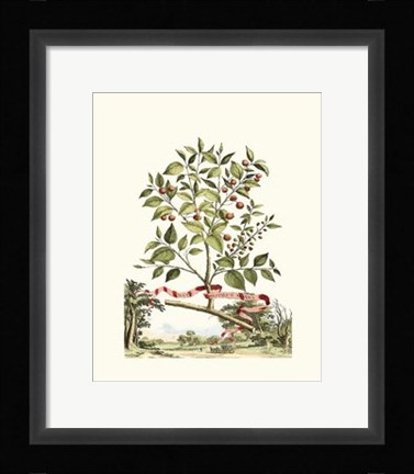 Framed Grandiose View III Print