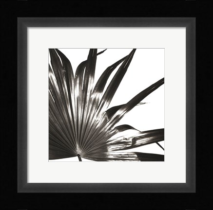 Framed Black and White Palm I Print