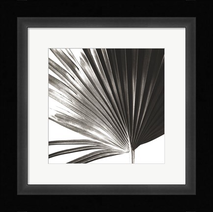 Framed Black and White Palm IV Print