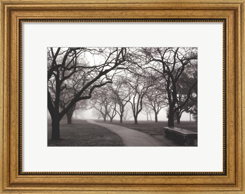 Framed Foggy Morning Walk Print