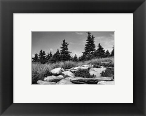 Framed Rocky Green Print