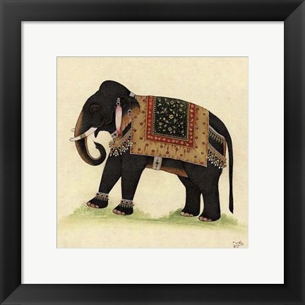 Framed Elephant from India II Print