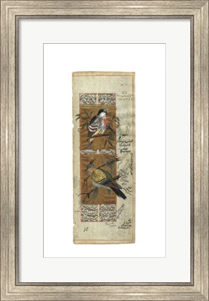 Framed Bird Pair from India I Print