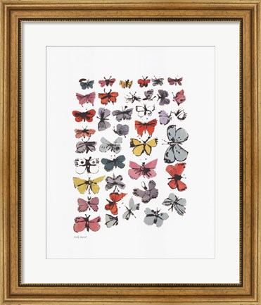 Framed Butterflies, 1955 Print