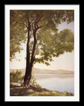 Framed Sunlit Trees I Print