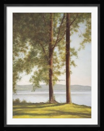 Framed Sunlit Trees II Print