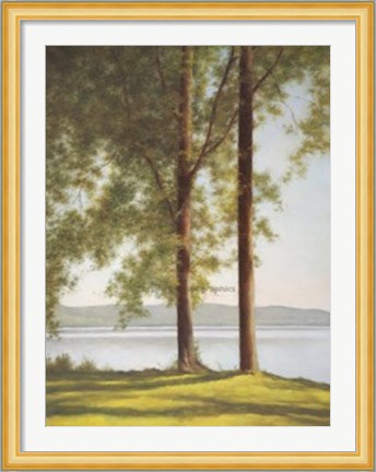 Framed Sunlit Trees II Print