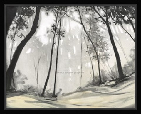 Framed Black Forest Print