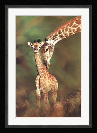 Framed Tender Love Print