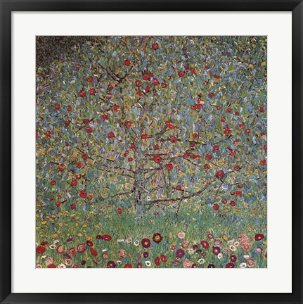 Framed Apple Tree Print