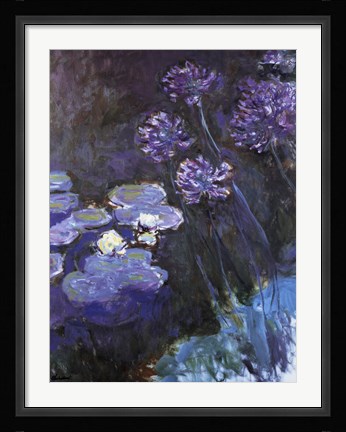 Framed Waterlillies and Agapanthus Print