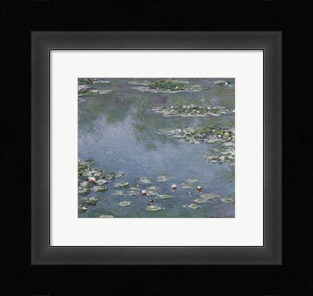Framed Waterlilies Print