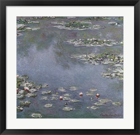 Framed Waterlilies Print