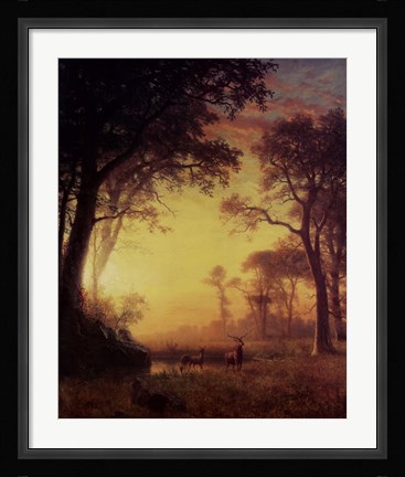 Framed Light in the Forest Print
