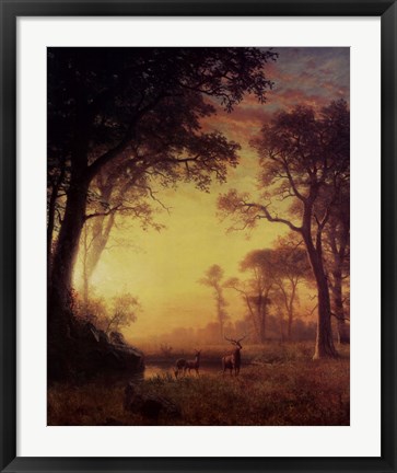Framed Light in the Forest Print