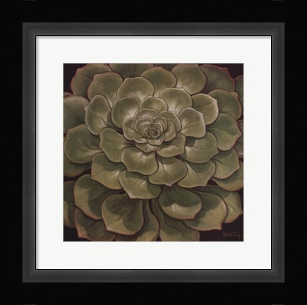 Framed Succulent I Print