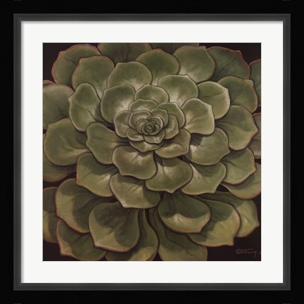 Framed Succulent I Print