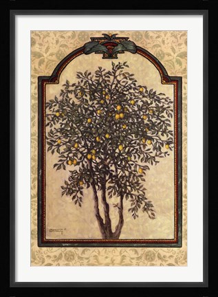 Framed Classical Lemon Print