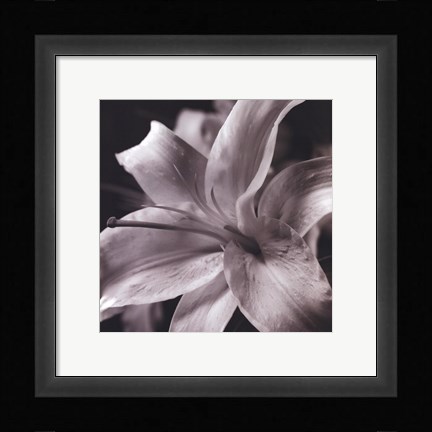 Framed Pure Lily Print