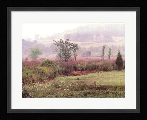 Framed Dreamscapes: Morning Meadow Print