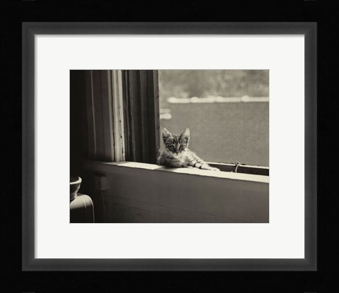 Framed Kitty in the Window Print
